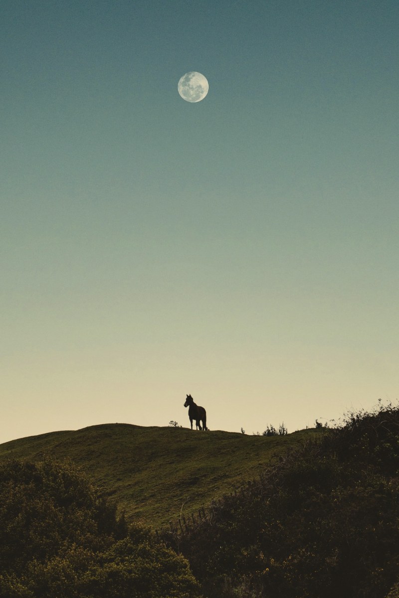 ATHAR, tome cinq, Shajaa'a : crépuscule, lune